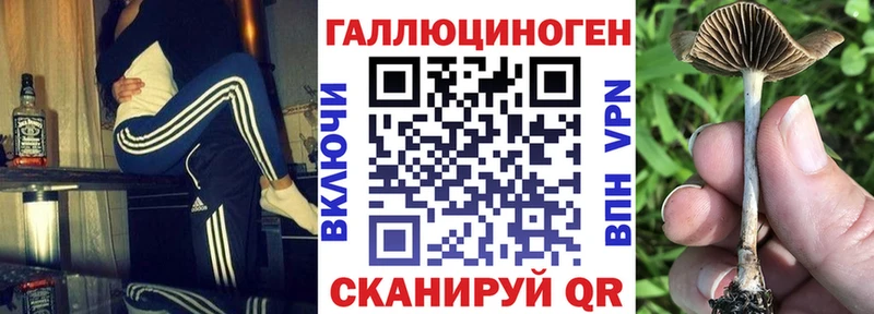 Галлюциногенные грибы Cubensis  Торжок 