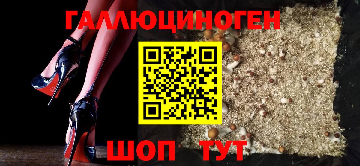 Торжок  Галлюциногенные грибы мицелий  цена   Галлюциногенные грибы MAGIC MUSHROOMS  Вход с VPN 